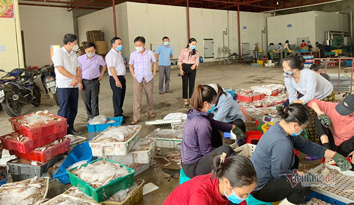 10.000 tấn hải sản ế ẩm, Nghệ An gửi thư kêu gọi cả nước "giải cứu"